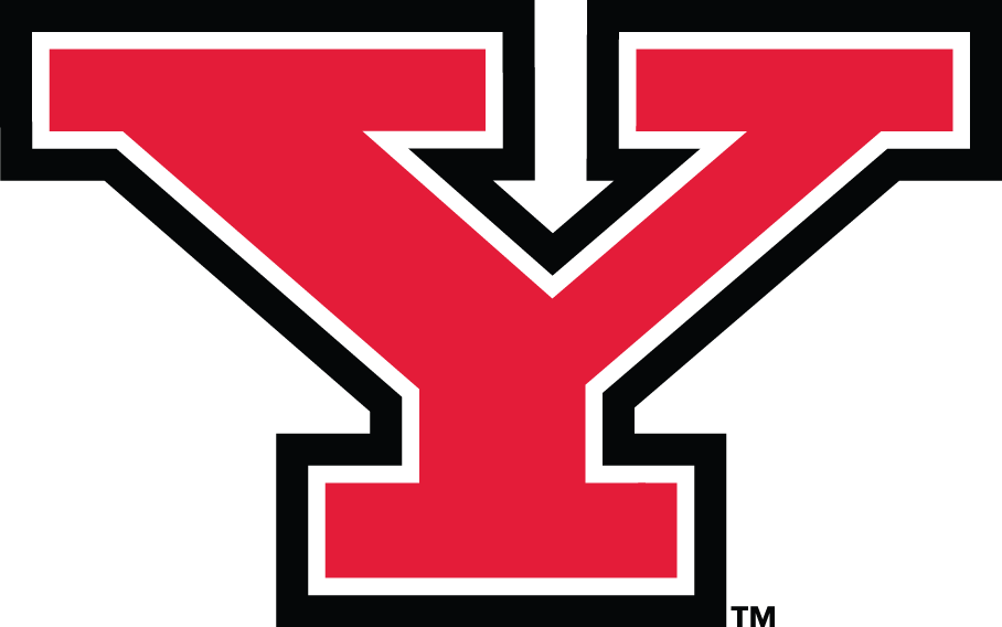 Youngstown State Penguins logos iron-ons